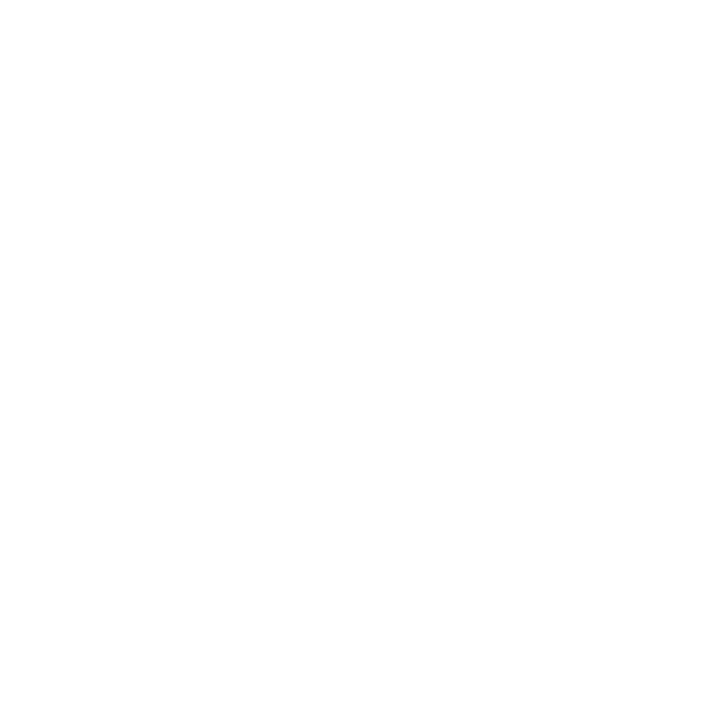 Zalmhuys logo