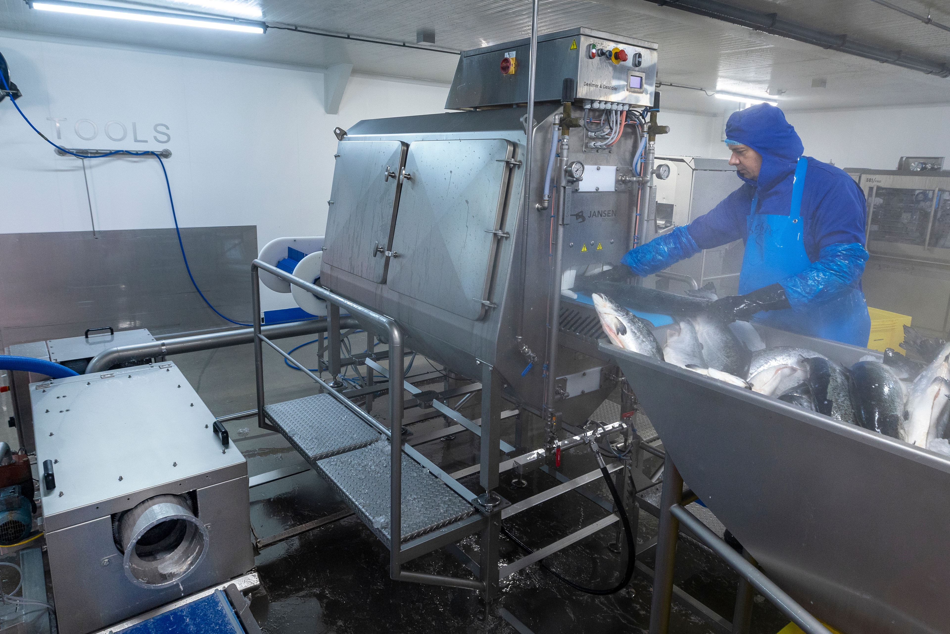 Scale filter behind descaler